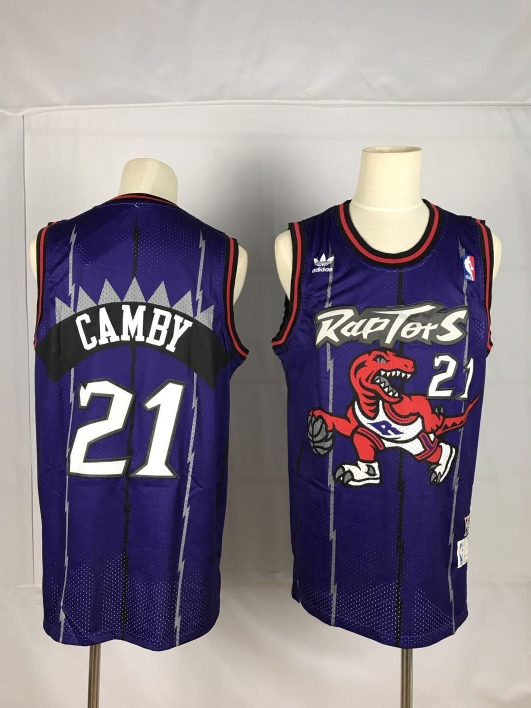 2019 Men Toronto Raptors #21 Camby Purple NBA Nike Jerseys->toronto raptors->NBA Jersey